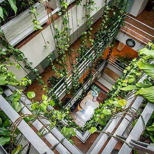 Hotel Picasso, Bogota